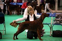 Crufts2011 053